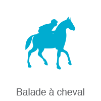 icon balade a cheval livret d'accueil application m-directory