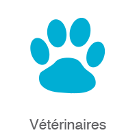 icon vétérinaires application mobile livret d'accueil corse